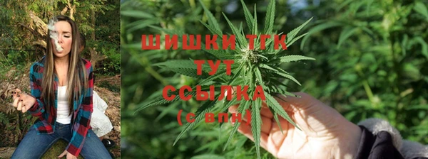 таблы Верея