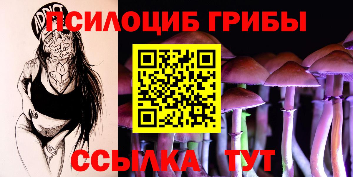 Псков  Галлюциногенные грибы GOLDEN TEACHER  Вход с VPN  Псилоцибиновые грибы ЛСД 