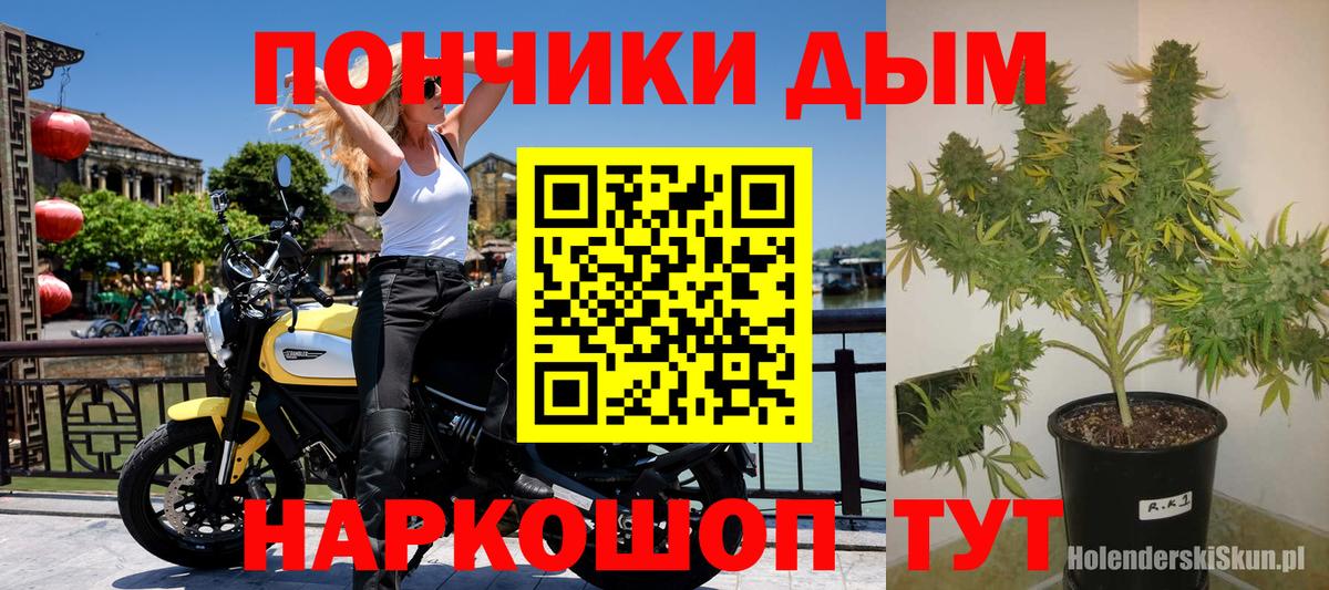 Псков  Каннабис гибрид  Вход с VPN  Канабис планчик 
